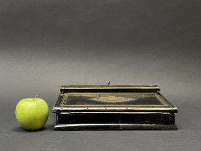 Lady's writing desk in blackened wood and...