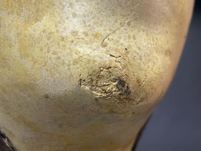 Rare Marotte sur pied, exemplaire de présentation
Système...