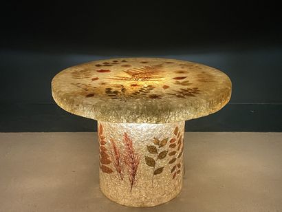 ACCOLAY Table basse éclairante en résine...