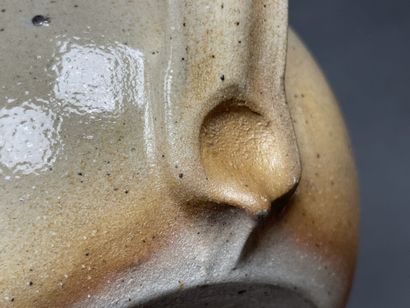 Robert DEBLANDER (1924-2010).
Théière en...