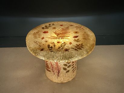 ACCOLAY Table basse éclairante en résine...