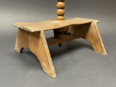 Rare Marotte sur pied, exemplaire de présentation
Système...