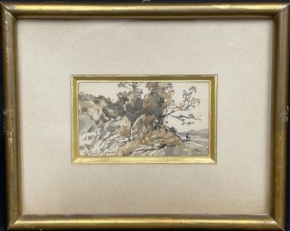 Henri Joseph HARPIGNIES (1819-1916)
Paysage
Lavis...