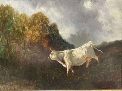 Eugène Alfred CAPELLE (1834-1887)
Vache au...