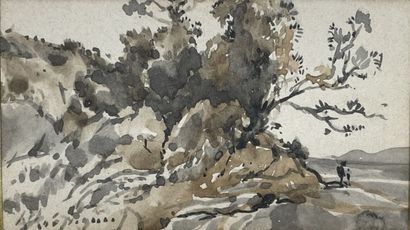 Henri Joseph HARPIGNIES (1819-1916)
Paysage
Lavis...