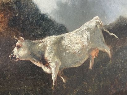 Eugène Alfred CAPELLE (1834-1887)
Vache au...