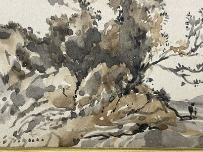 Henri Joseph HARPIGNIES (1819-1916)
Paysage
Lavis...