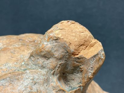 Robert GODEFROY (1928-2001)
Ours
Grande sculpture...