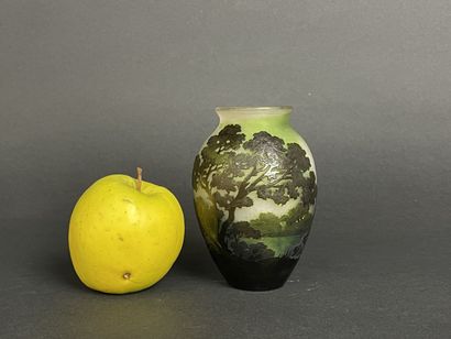 ETABLISSEMENTS GALLE (1904-1936)
Vase en...