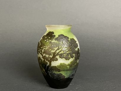 ETABLISSEMENTS GALLE (1904-1936)
Vase en...