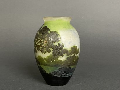 ETABLISSEMENTS GALLE (1904-1936)
Vase en...
