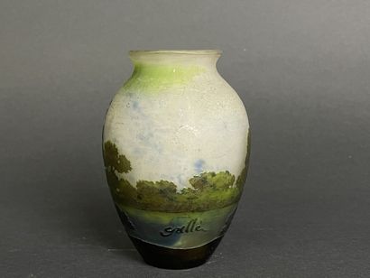 ETABLISSEMENTS GALLE (1904-1936)
Vase en...