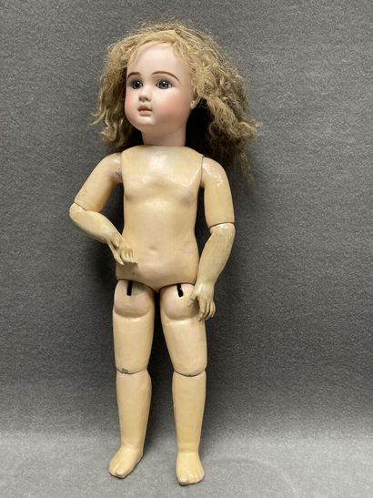 Bébé STEINER
Poupée, tête en biscuit pressé...