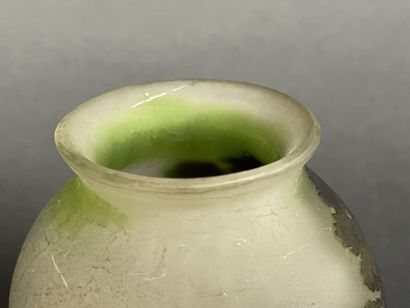 ETABLISSEMENTS GALLE (1904-1936)
Vase en...