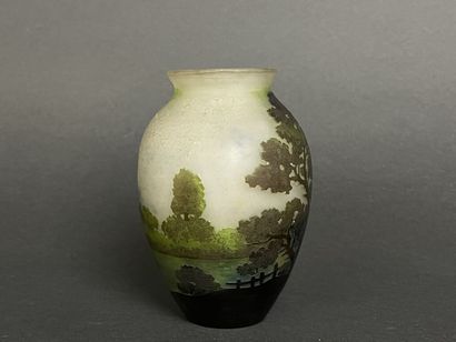ETABLISSEMENTS GALLE (1904-1936)
Vase en...