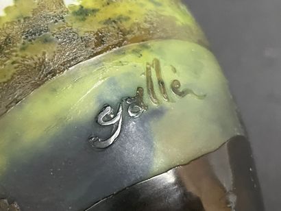 ETABLISSEMENTS GALLE (1904-1936)
Vase en...