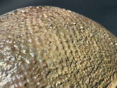 Grande coupe couverte en céramique raku.
Marque.
H:...