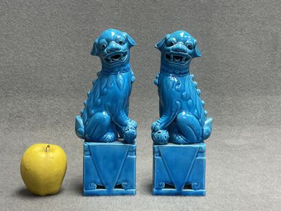 Paire de chiens de Fô en porcelaine émaillée...