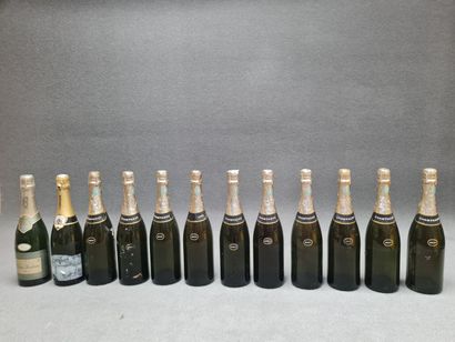 Lot de Champagne
12 bouteilles