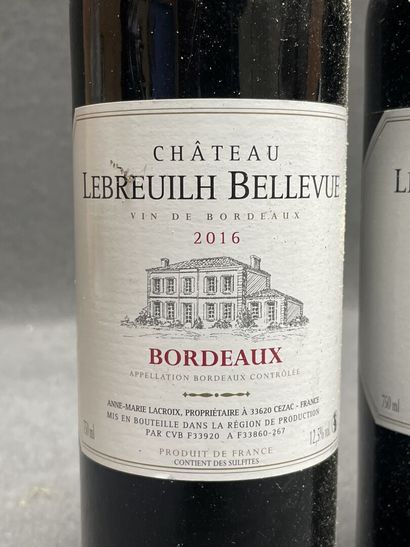 6 bouteilles: 
-Bordeaux, Chateau Lebreuilh...