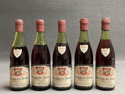 SAVIGNY-LES-BEAUNE Domaine Raymonde Ecard....