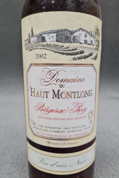 DOMAINE HAUT MONTLONG 2002
12 bouteilles