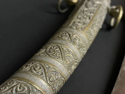 Koumia d'Afrique du nord. 
L. :43 cm.