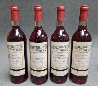 DOMAINE HAUT MONTLONG 2002
12 bouteilles