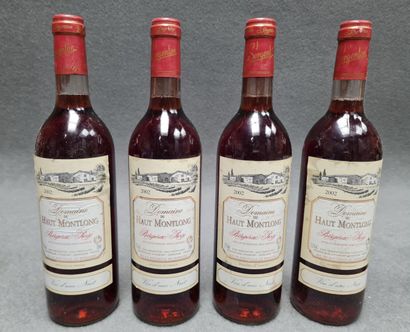 DOMAINE HAUT MONTLONG 2002
12 bouteilles