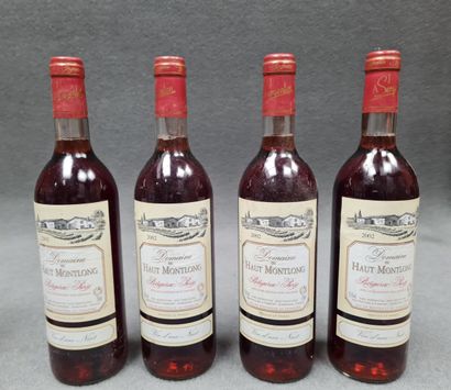 DOMAINE HAUT MONTLONG 2002
12 bouteilles
