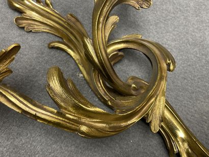Paire d'appliques en bronze doré de style...
