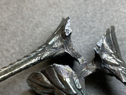 Oeuf d'autruche sur socle métallique pied...