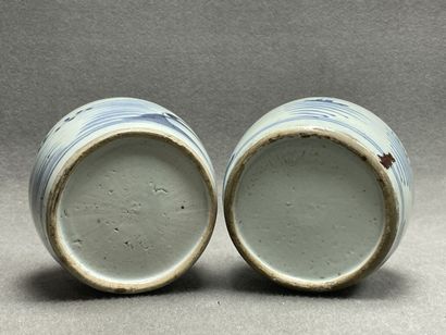 Deux pots à gingembre en porcelaine de Chine....