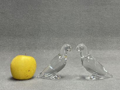 BACCARAT
Couple de perruches en cristal
H:...