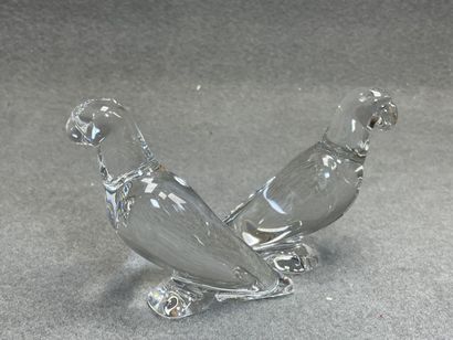 BACCARAT
Couple de perruches en cristal
H:...