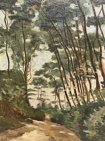 Chemin forestier. 
huile sur toile. 
46 x...