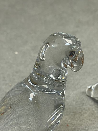BACCARAT
Couple de perruches en cristal
H:...