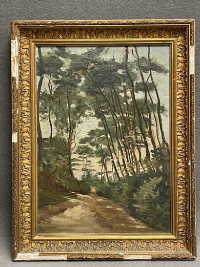 Chemin forestier. 
huile sur toile. 
46 x...