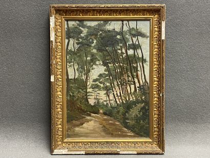 Chemin forestier. 
huile sur toile. 
46 x...