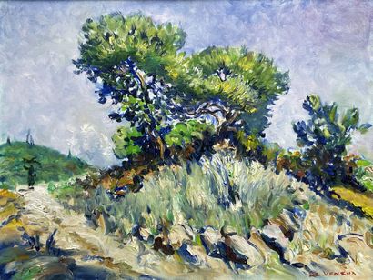Ecole Française XX°
Pommiers près de Biot.
huile...