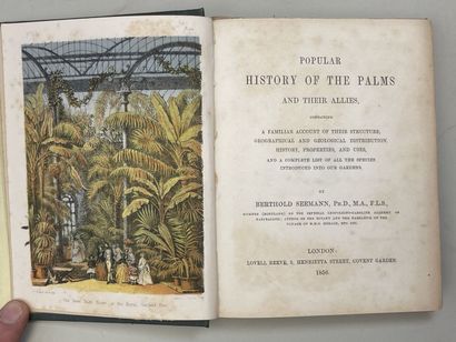 SEEMANN, Berthold. - Popular history of the...