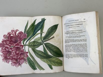 LEMAIRE, Charles. - L'Horticulteur Universel,...