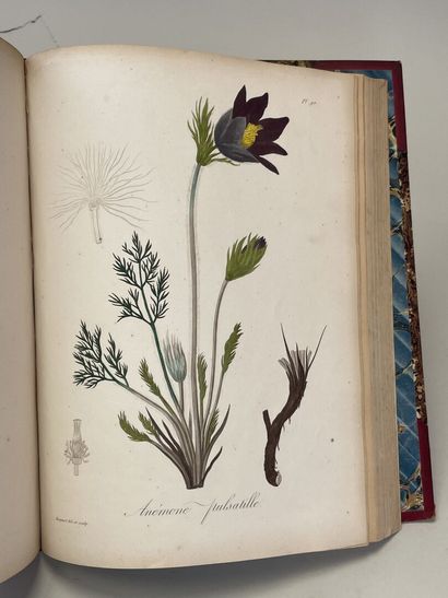 ROQUES, Joseph. - Phytographie médicale,...