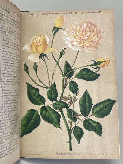 ROSES. - Journal des roses (Rosa inter flores)....