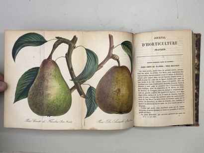 Journal d'horticulture pratique de la Belgique...