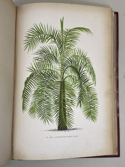 KERCHOVE DE DENTERGHEM, Oswald de. - Les...