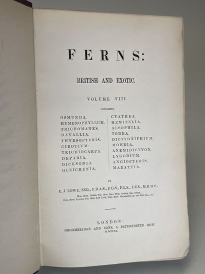 LOWE, Edward Joseph. - Ferns : British and...