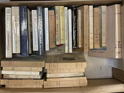 Cartons of art history books.