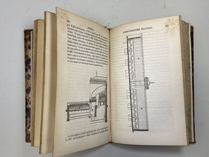 Journal d'horticulture pratique de la Belgique...