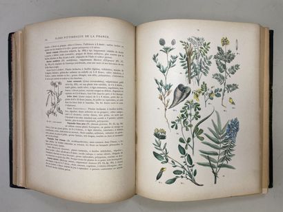 ROTHSCHILD, (Jules de) et al. - Botanique...